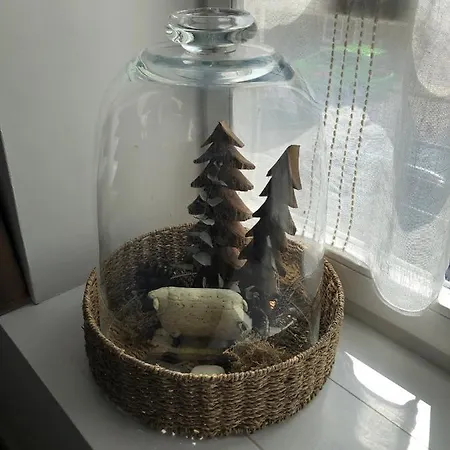 Fachwerkhaus Hartmann Bad Münder am Deister