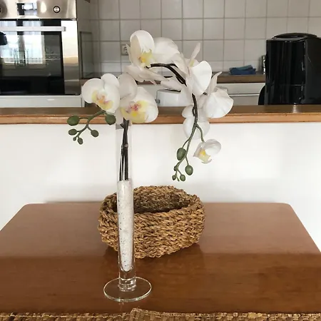 Apartmán Fachwerkhaus Hartmann *