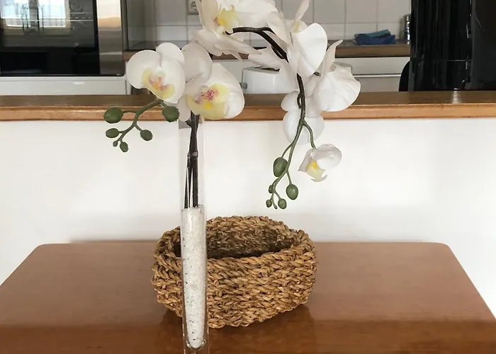 Appartement Fachwerkhaus Hartmann *